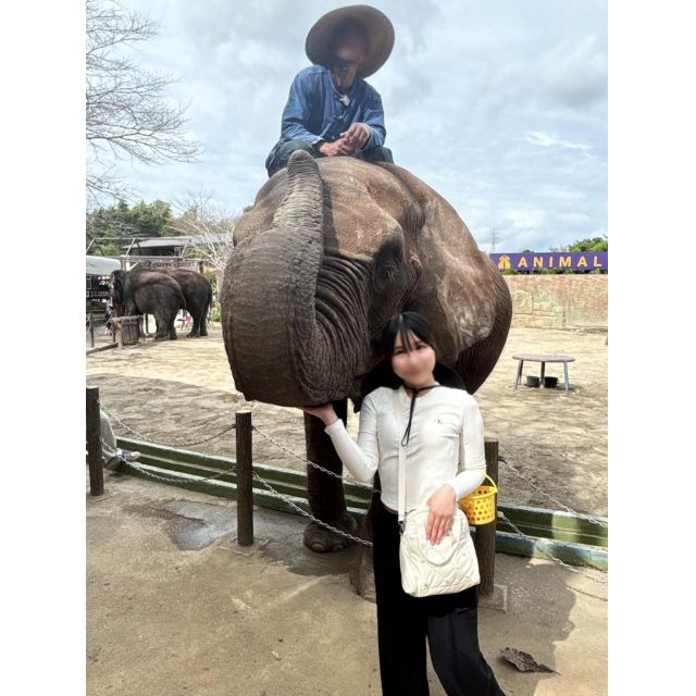 船橋デリヘル 風俗｜人妻デリバリーヘルス『秘密倶楽部 凛 船橋店』ゆきみさんの日記画像