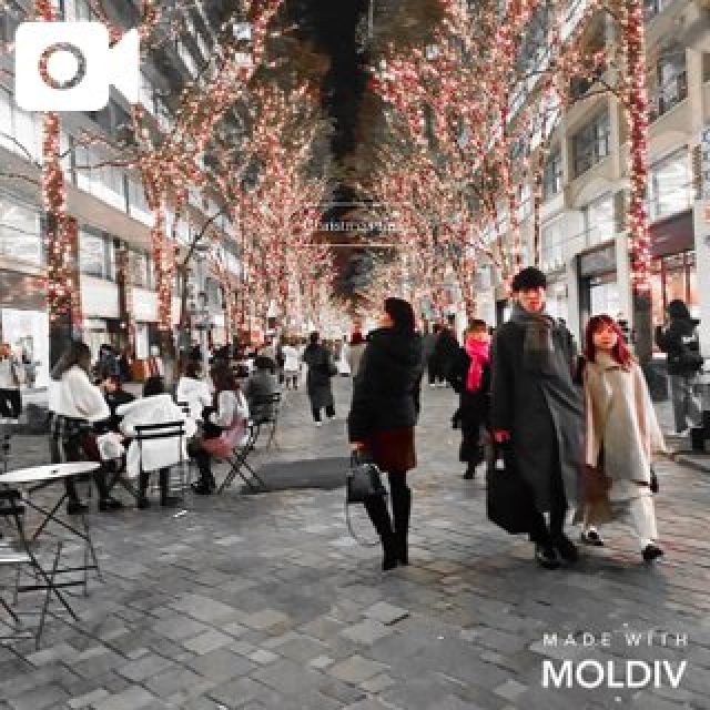 船橋デリヘル 風俗｜人妻デリバリーヘルス『秘密倶楽部 凛 船橋店』みいなの日記