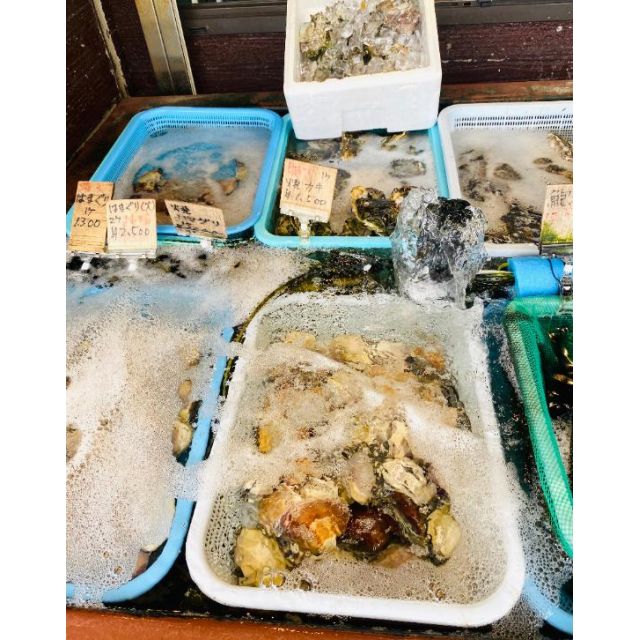 船橋デリヘル 風俗｜人妻デリバリーヘルス『秘密倶楽部 凛 船橋店』みいなさんの写メ日記【お礼日記✨...】