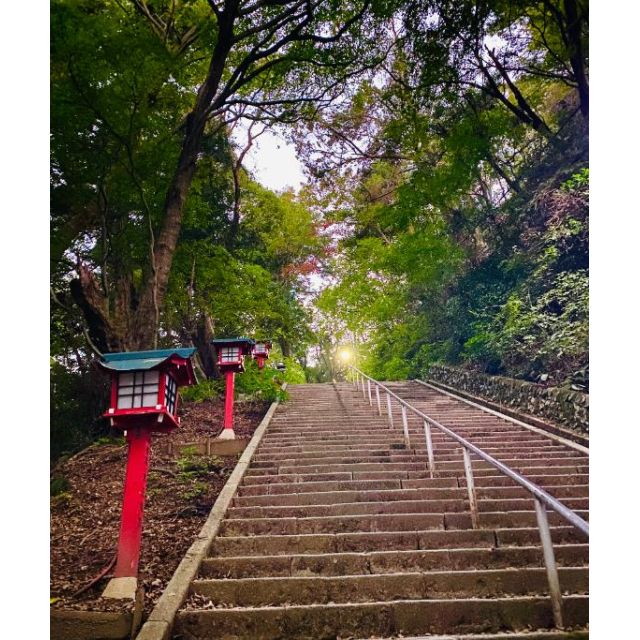 船橋デリヘル 風俗｜人妻デリバリーヘルス『秘密倶楽部 凛 船橋店』みいなさんの写メ日記【明日出勤✨...】