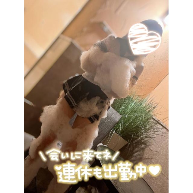 船橋デリヘル 風俗｜人妻デリバリーヘルス『秘密倶楽部 凛 船橋店』ゆうかさんの写メ日記【出勤してます！】