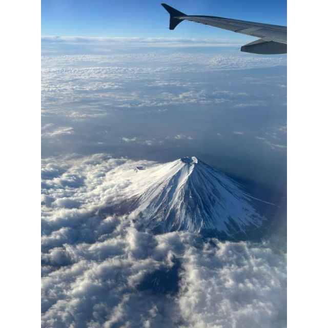 船橋デリヘル 風俗｜人妻デリバリーヘルス『秘密倶楽部 凛 船橋店』みつりの日記