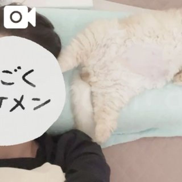 船橋デリヘル 風俗｜人妻デリバリーヘルス『秘密倶楽部 凛 船橋店』未来さんの日記画像