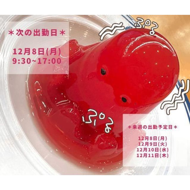 船橋デリヘル 風俗｜人妻デリバリーヘルス『秘密倶楽部 凛 船橋店』ちはるの日記