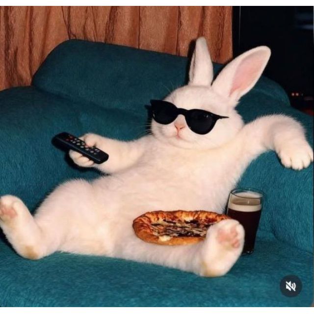 船橋デリヘル 風俗｜人妻デリバリーヘルス『秘密倶楽部 凛 船橋店』まこの日記