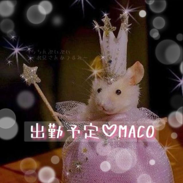 船橋デリヘル 風俗｜人妻デリバリーヘルス『秘密倶楽部 凛 船橋店』まこの日記