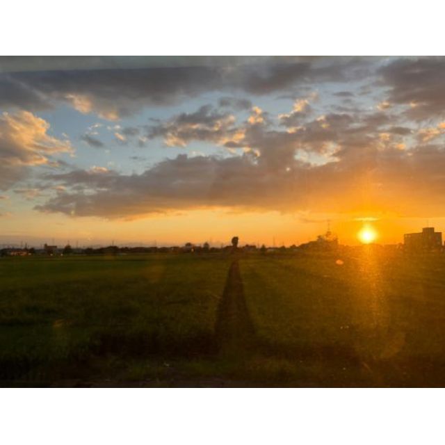 船橋デリヘル 風俗｜人妻デリバリーヘルス『秘密倶楽部 凛 船橋店』ゆのんさんの写メ日記【こんばんは】