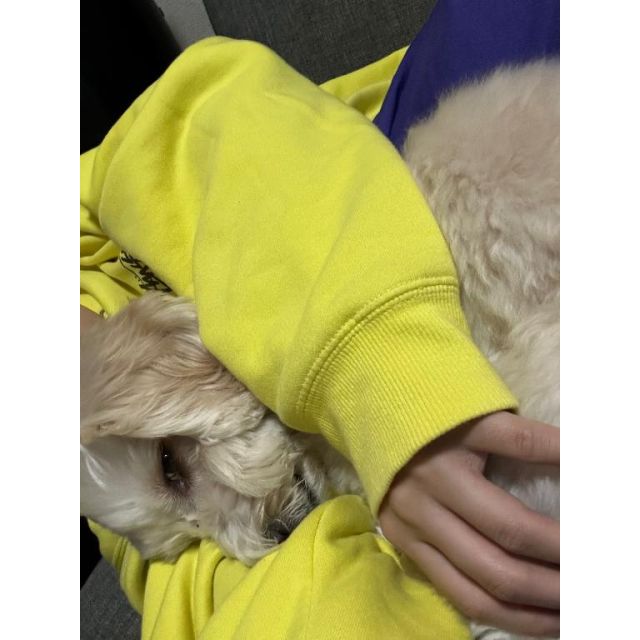 千葉風俗『秘密倶楽部 凛 千葉店』七葉（ななは）さんの写メ日記【ごめんなさい】