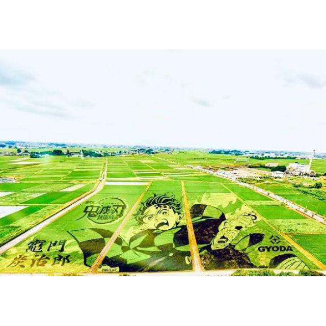 千葉風俗『秘密倶楽部 凛 千葉店』みいなさんの写メ日記【今日の出勤...】