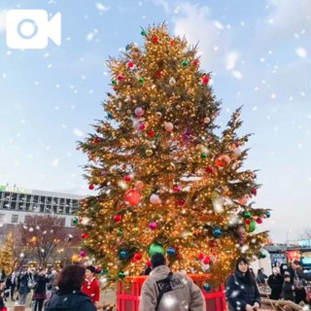 千葉風俗『秘密倶楽部 凛 千葉店』みいなの日記