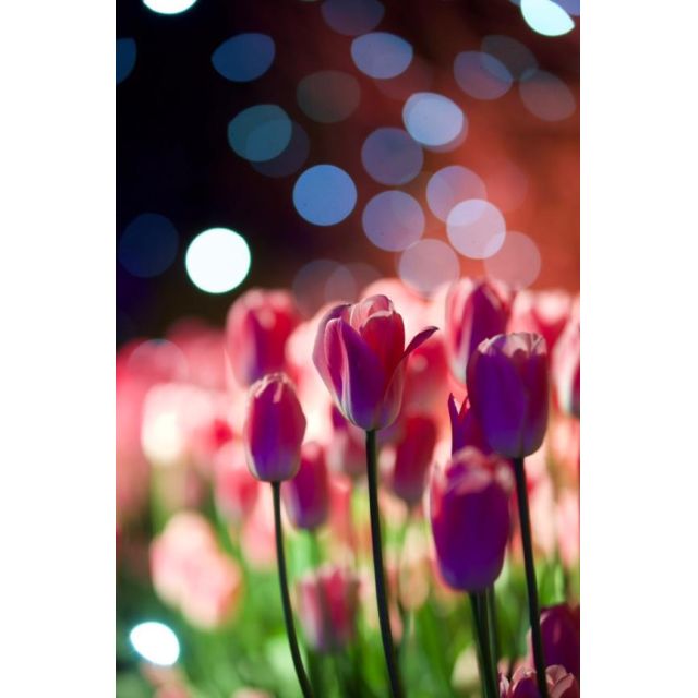 千葉風俗『秘密倶楽部 凛 千葉店』みいなの日記