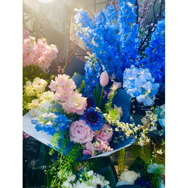 千葉風俗『秘密倶楽部 凛 千葉店』みいなの日記