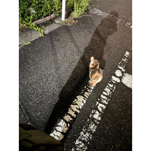 千葉風俗『秘密倶楽部 凛 千葉店』咲乃小春の日記