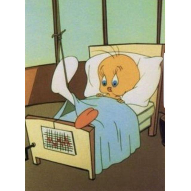 千葉風俗『秘密倶楽部 凛 千葉店』まこの日記