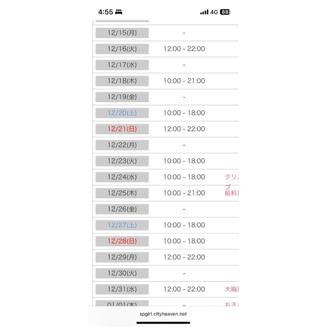 千葉風俗『秘密倶楽部 凛 千葉店』猫の日記