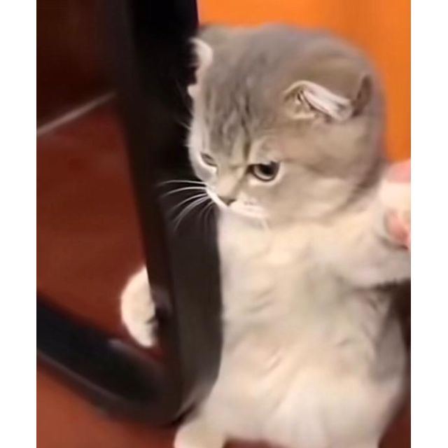 千葉風俗『秘密倶楽部 凛 千葉店』くるみの日記