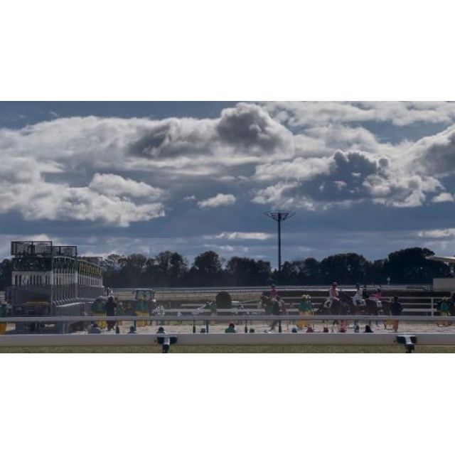 千葉風俗『秘密倶楽部 凛 千葉店』くるみの日記