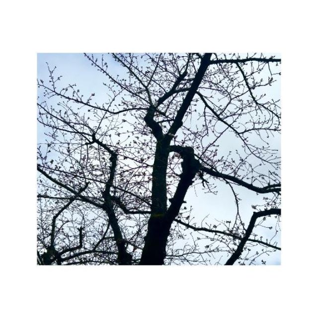 千葉風俗『秘密倶楽部 凛 千葉店』ももかさんの写メ日記【 momoka 】