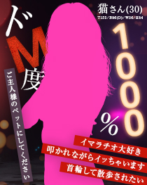 千葉風俗『秘密倶楽部 凛 千葉店』モデル猫の写真